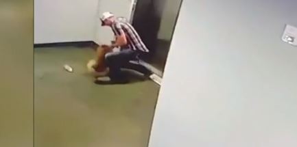 El hombre se apresura para liberar al perro.