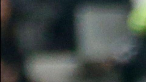Rodolfo Pizarro, uno de los jugadores más talentosos de México en la actualidad.