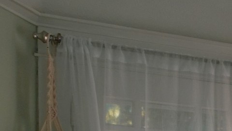 De piso, en muebles o colgantes, existen muchas opciones para tu hogar.