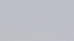 Ceppelini y Jurado ya debutaron en partido amistoso.