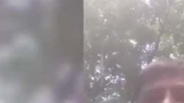 Captura del presunto ladrón.