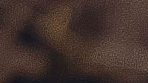 El mapache trató de morder a la víctima.