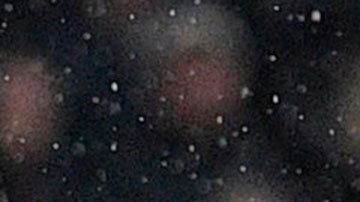 Wolverhampton acumuló su tercera derrota del torneo y se quedó en el octavo puesto con 24 puntos