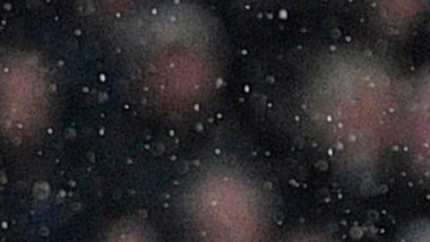 Wolverhampton acumuló su tercera derrota del torneo y se quedó en el octavo puesto con 24 puntos