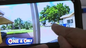 La policía del condado de Broward, en Florida, ha pedido la ayuda de la comunidad para recabar más pistas.