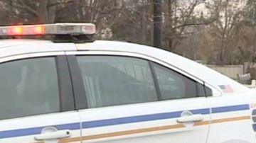 El hecho ocurrió en la cuadra 12800 Mosielle Street.