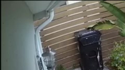El ladrón acudió a la puerta de la víctima para recoger todos los paquetes que había dejado el repartidor de Amazon.