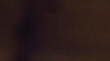 Los pequeños detalles en el comedor pueden brindar grandes experiencias en noche buena.