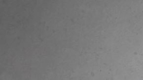 Los hijos de la mujer no llegaron a ver la nota.