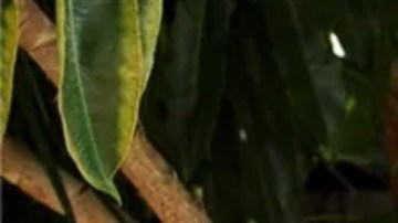 Olivia Brockhoff quiere difundir mensajes positivos en la red.