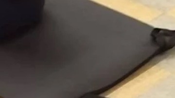 Pilates con perritos.