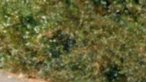 Screen Shot 2019-12-29 at 3.07.53 PM