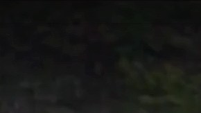 El gran árbol no dio tiempo a nada antes de caer sobre la mujer.