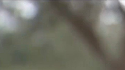 Wilfredo Moreno dice que aprovechó que un semáforo estaba en rojo para salir del vehículo y empezar a correr.
