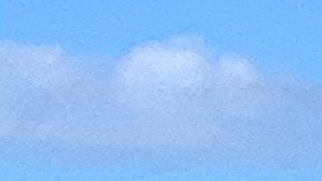 Shannon y John reciben subsidios mensuales que les permiten pagar su seguro de salud.