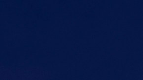 shutterstock_1043356249