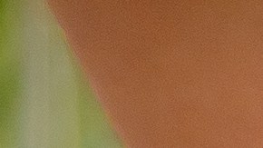 Una buena técnica hará que quemes las mismas calorías.