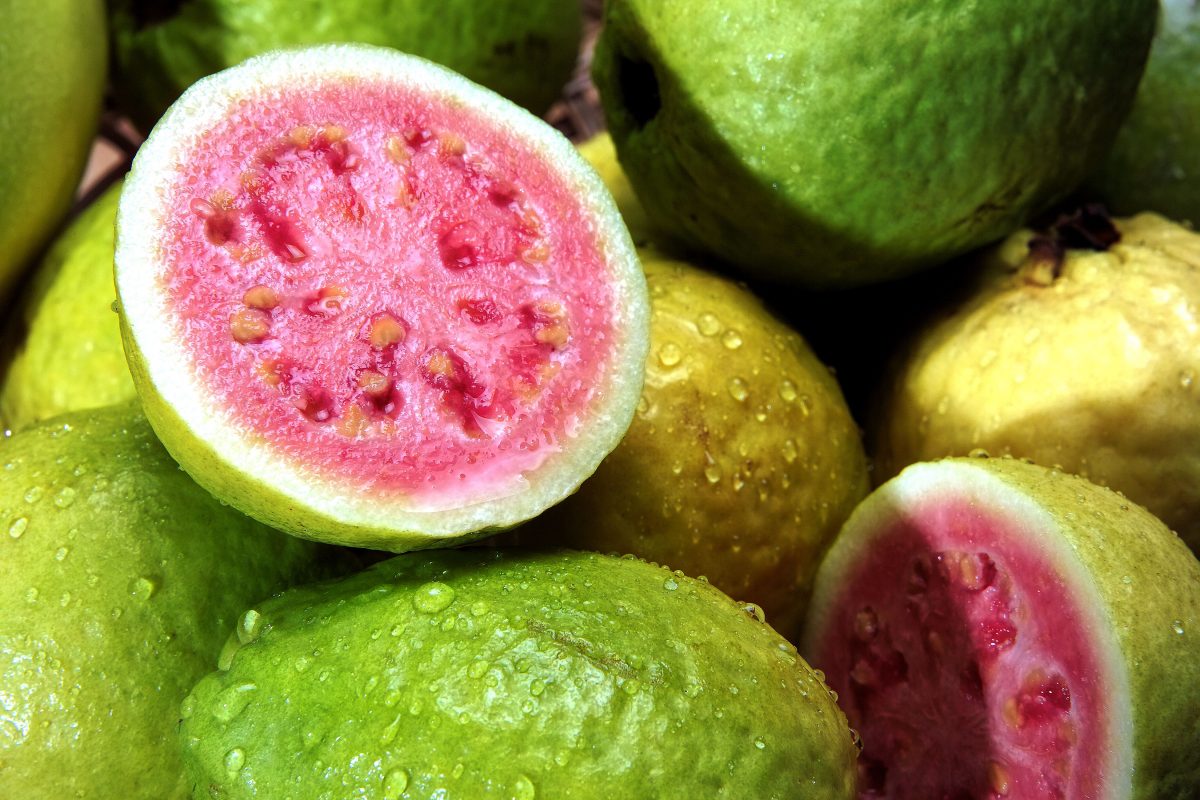 5 Frutas Con Más Proteínas Para Sumar A Tu Dieta La Opinión 5012