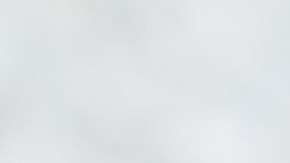 shutterstock_337851278