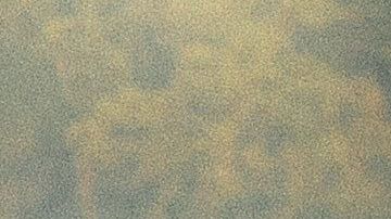 shutterstock_435449356