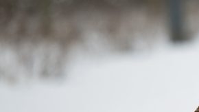 Botas antirresbalantes para mujer.