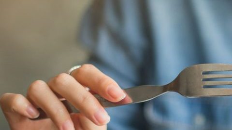 alimentación