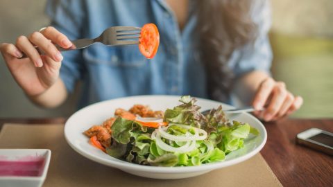 alimentación