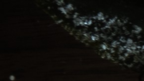 La niña descubrió al abrir el paquete de tarjetas una llamada de auxilio.