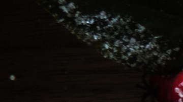 La niña descubrió al abrir el paquete de tarjetas una llamada de auxilio.