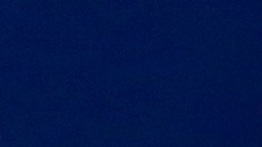 Robert Dante Siboldi podrá contar con algunos refuerzos de cara al Clausura 2020.