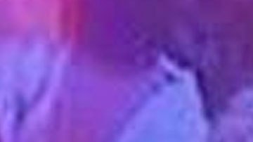 La policía de Miami Beach ha pedido la ayuda de la comunidad para encontrar a las sospechosas.