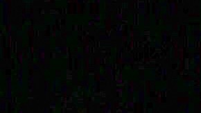 Kylie Jenner/The Grosby Group