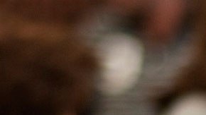 Podrías ganar una comida o bebida gratis por 30 años.