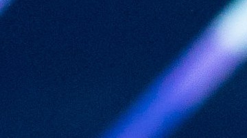 Steve Harvey, conductor de Miss Universo 2019