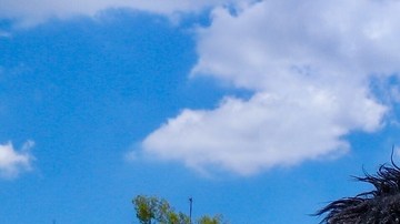 Mr. Niebla falleció este lunes a los 46 años de edad.