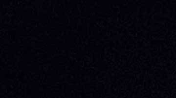 Marco van Basten, ex jugador del AC Milan y la selección holandesa.