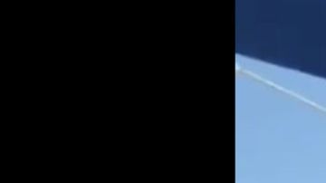 VIDEO: Migrantes cruzan muro fronterizo con escalera, cuestionan el impulsado por Trump