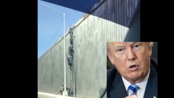 VIDEO: Migrantes cruzan muro fronterizo con escalera, cuestionan el impulsado por Trump