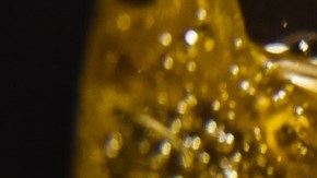 Crédito; Igorr1/Canva