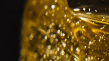 Crédito; Igorr1/Canva