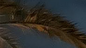 Vehículo destruido en llamas tras un ataque estadounidense el 3 de enero de 2020 en la carretera del aeropuerto internacional de Bagdad.