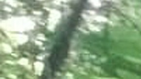 La flor roja con manchas blancas mide 3,6 pies.