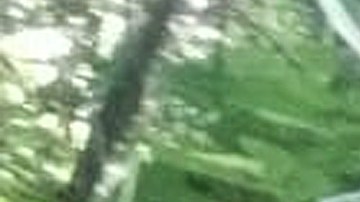 La flor roja con manchas blancas mide 3,6 pies.