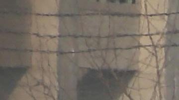 Iraníes protestan contra los ataques de EEUU a sus nacionales en Irak.