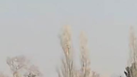 Restos del avión de Ucrania que cayó cerca del aeropuerto en Teherán.
