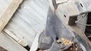 Las detonaciones de bala se escucharon desde el otro lado de la frontera, en Texas.