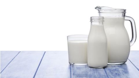 La mayoría de los animales deja de tomar leche cuando empieza a necesitar alimentos más complejos.