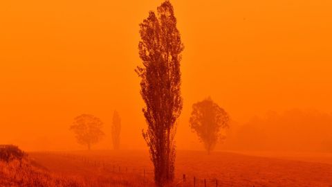 110454395_fire_landscape_976