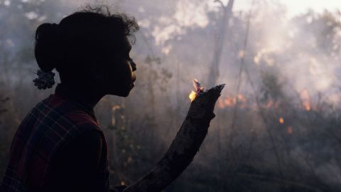 110456480_gettyimages-531112398
