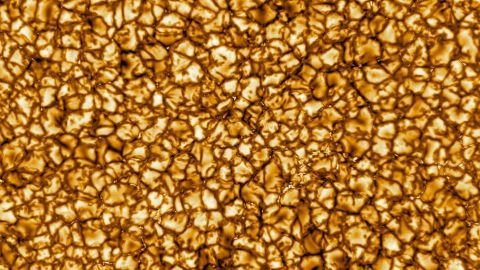 110710857_d41586-020-00224-z_17606334